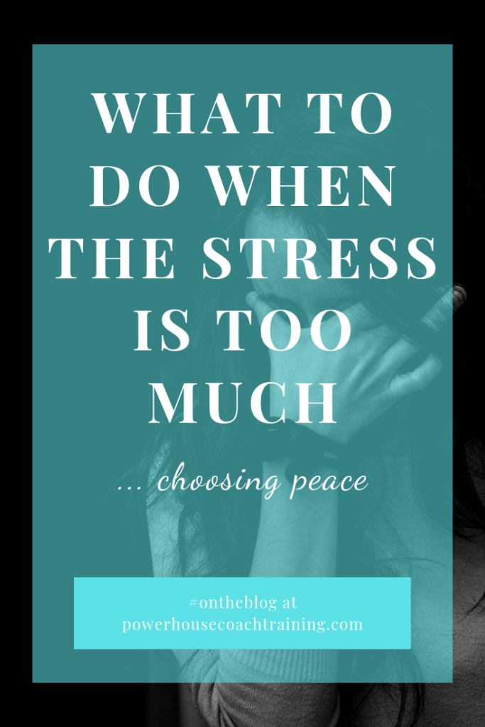 what to do when the stress is too much - share to Pinterest