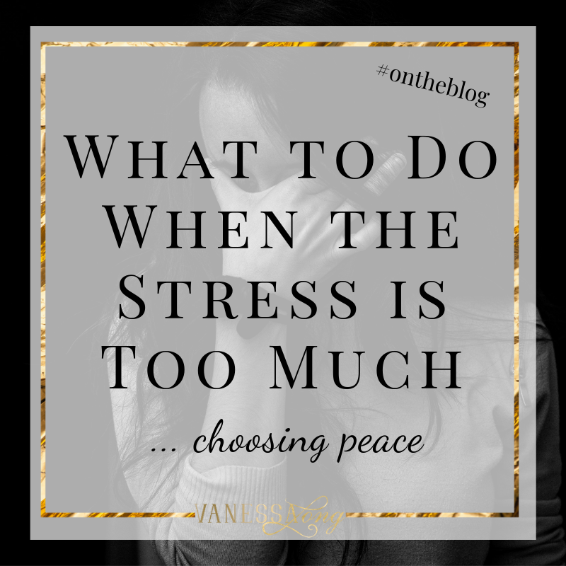 what to do when the stress is too much