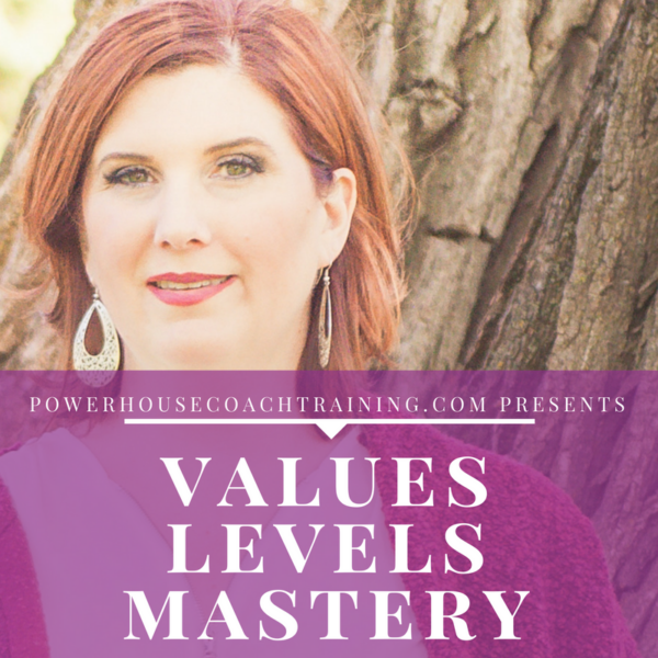 Values levels and the divine feminine bundle vanessa long